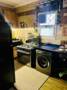 Shared apartment in New Cairo