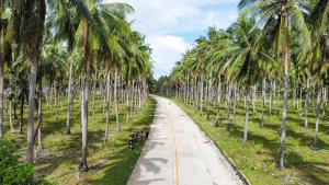 Payapa Beach & Cottages