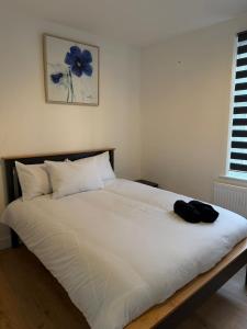 Modern 2-bedroom apartment