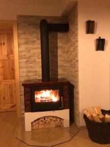 Apartmán Albrechtice 97