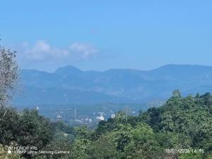 Iliyana Home Stay