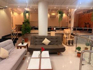 شاليه قطر الندى - الطائف