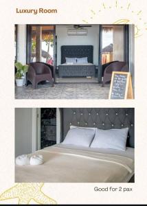 Dreamshore Kiwi Beach Resort