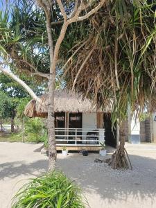 Dreamshore Kiwi Beach Resort