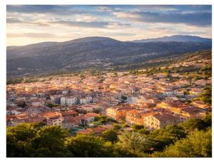 Delightful and spacious villa in Capo Comino img24