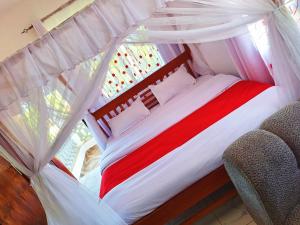 Adventure studio apartment