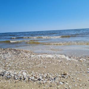 Karlshagen Fewo FR51 3 Straße der Freundschaft 51