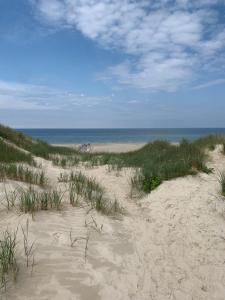 Stort sommerhus - Legeland for store og små