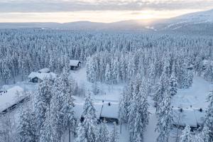 Aurora Nest By Aavalevi