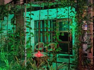 The Lovina Place