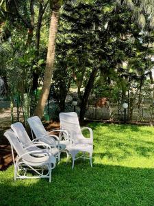 La Maison Bougainvillea