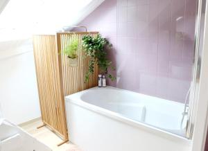 Appartement cosy 40m2 centre-ville historique