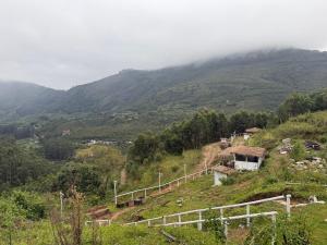 Mystic Valley Vattavada
