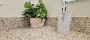 Urban Oasis with City Views and Dedicated Workspace