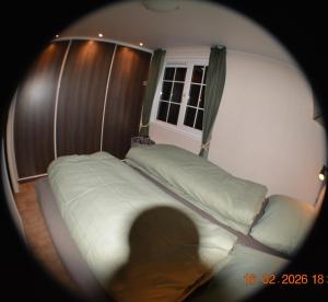 ZEEMEEUW - Platz 31, Olmenduin