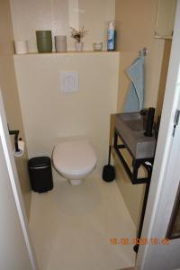 ZEEMEEUW - Platz 31, Olmenduin