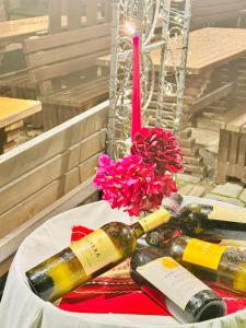 Guest House Holiday in Melnik