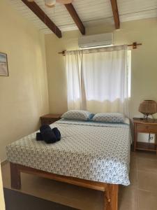 Entre Palmas Venao Casa