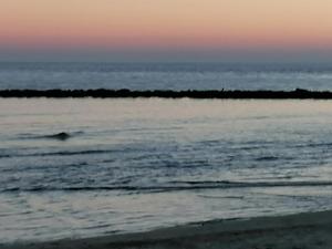 Appartements climatisés, plage à 5 min, parking, wifi, au calme le Grau dAgde