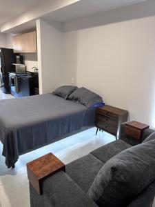 Moderno Loft Primer Cuadro Centro Historico Guadalajara