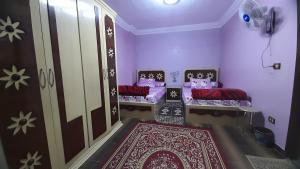 شقه مفروشه غرفتين للإيجار في سموحه اسكندريه