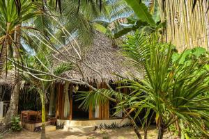 The Bamboo Houses - Tropical Gardens & Nature