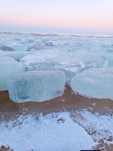 Batic Line - SUNNY PLACE - FUNNY PLACE, apartament ze słonecznym ogródkiem na Wyspie Sobieszewskiej
