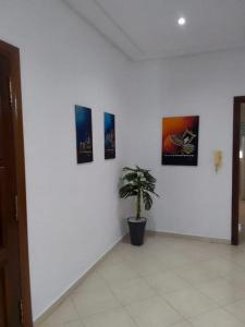 Touahri C TW01 Apartment - Centre