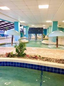 Impeccable Oceanfront Suite, Top Floor! L1543