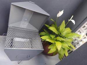 Cabanas dos sonhos 2 - Penha