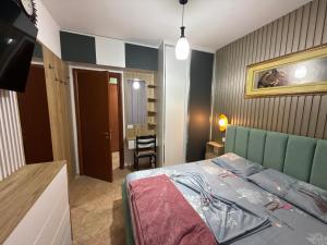 Apartament 1+1 Golem