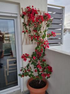 Unique Skyview Apartment-Downtown