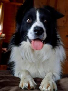 Mittagsspitz am Bauernhof