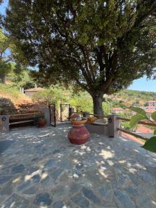 Alta Vista Guest House