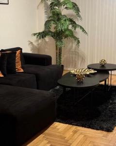 Departamentos del Sur