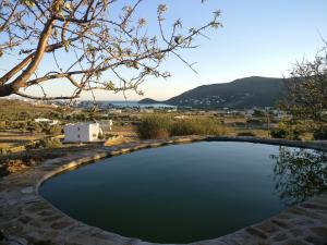 Villa Valentino Andros Greece