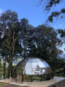 Mineral Glamping Experience