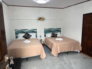 Virginias apartaments