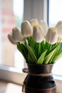 Maison de la Rochejaquelein