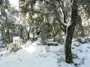 Rifugio Ortobene img1