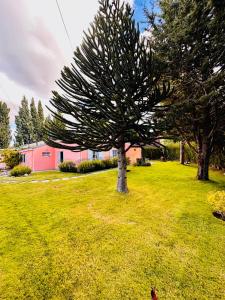 Araucaria, Casa Patagonica