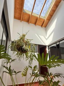 Private room Laureles, Estadio, la 70 Fast WIFI