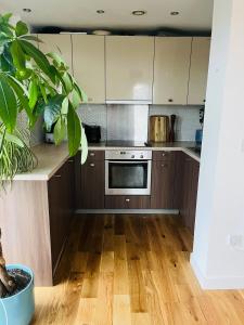 Stylish Clyde Riverfront Flat with Balcony Views