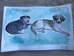 Cabañas Cinco Elementos