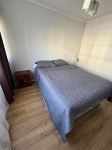 Dpto Playa Ositos vergara