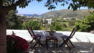 Villa Valentino Andros Greece