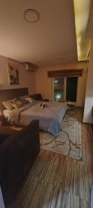Fully furnished studio