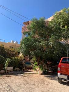 Petra Neighbor Hostel