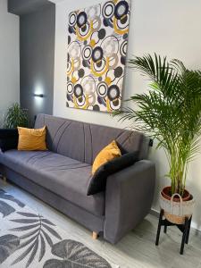 Luxury Sofi