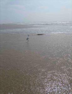 Ground floor apartment by the sea just 15 minutes from Torres